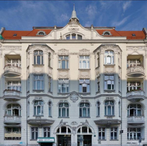 Albert 1904, Szczecin